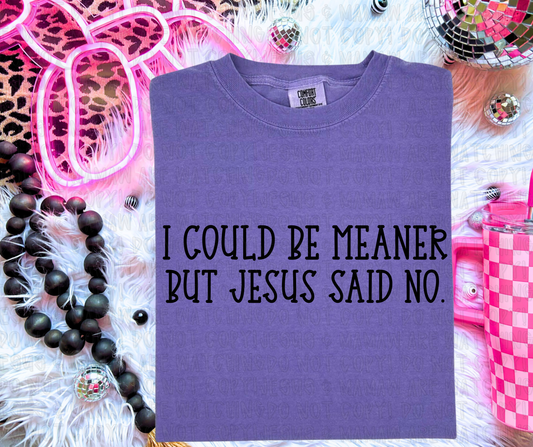I COULD BE MEANER BUT JESUS SAID NO - DTF TRANSFER