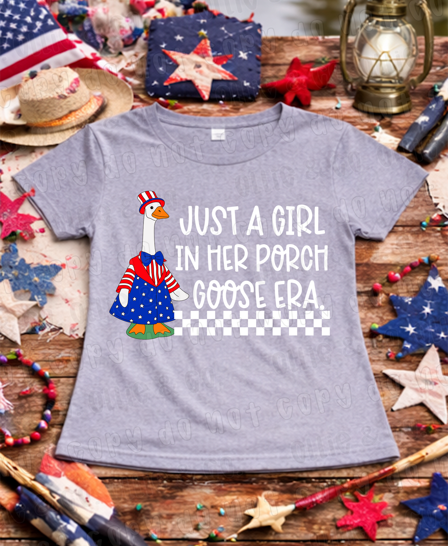 JUST A GIRL IN HER PORCH GOOSE ERA - DTF TRANSFER