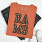 FOOTBALL MASCOTS - FAUX GLITTER - DTF TRANSFER