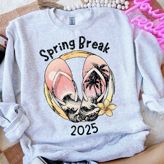 SPRING BREAK 2025 - DTF TRANSFER