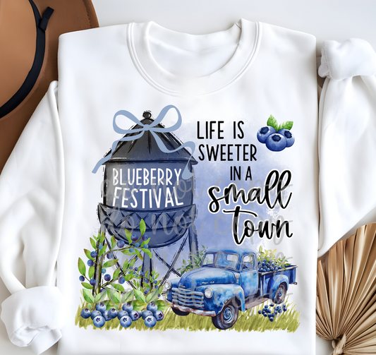 BLUEBERRY FESTIVAL - DTF TRANSFER