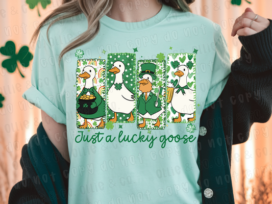 JUST A LUCKY GOOSE - DTF TRANSFER