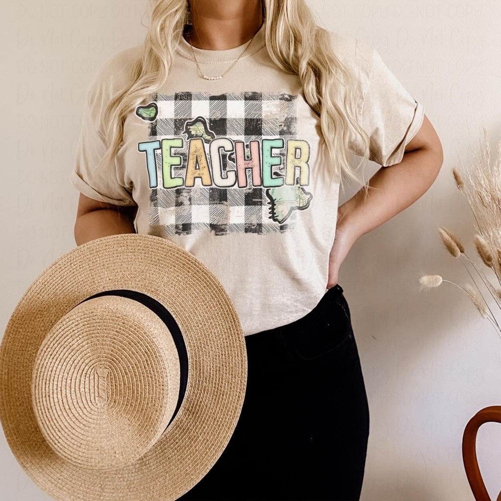 State Teacher